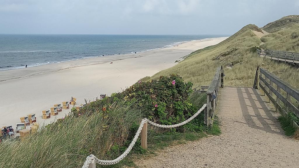 Sylt (166)